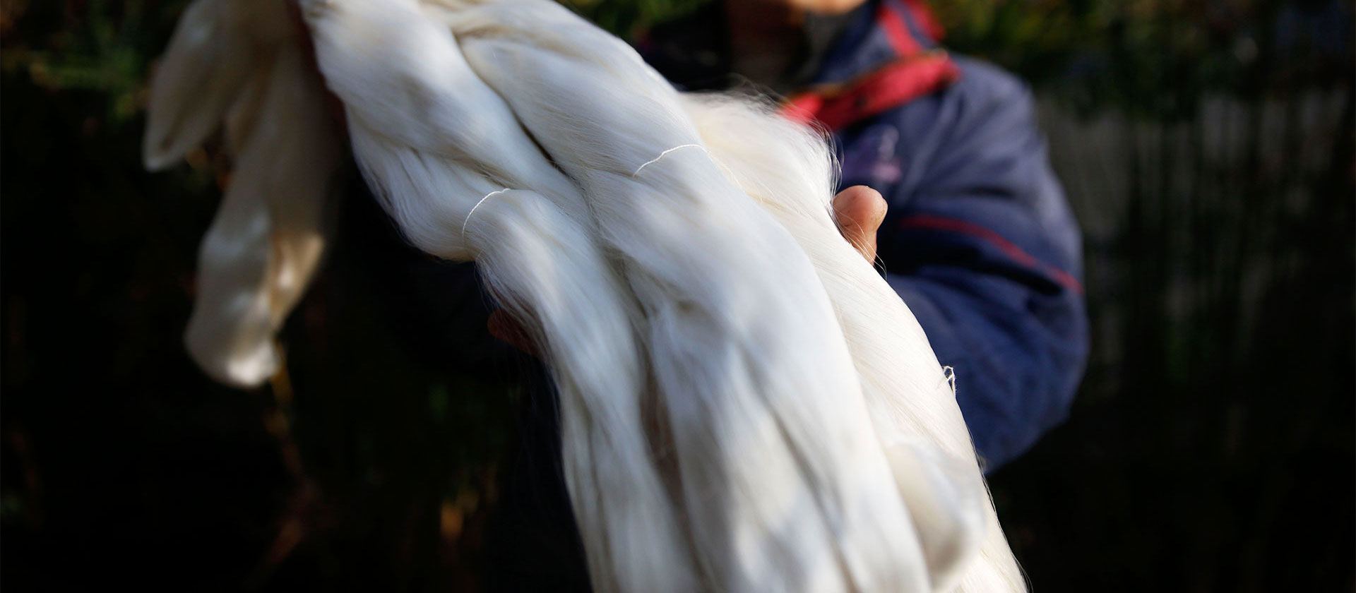 The ingenuity of organic silk